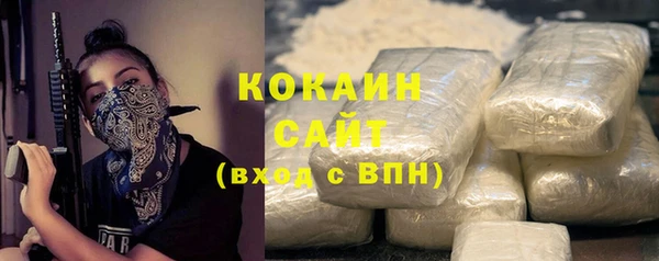 тгк Медногорск