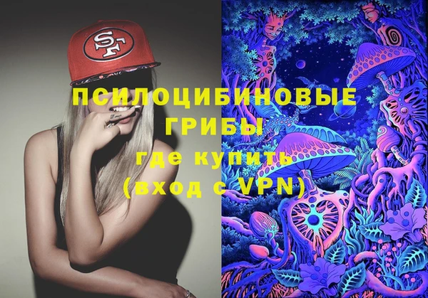 apvp Медвежьегорск