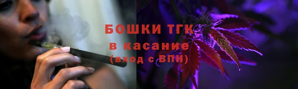 дживик Мегион