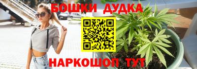гашик Канаш
