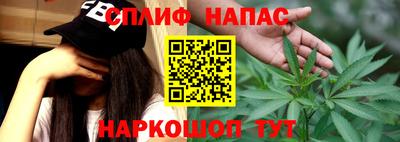 МДПВ Камышлов