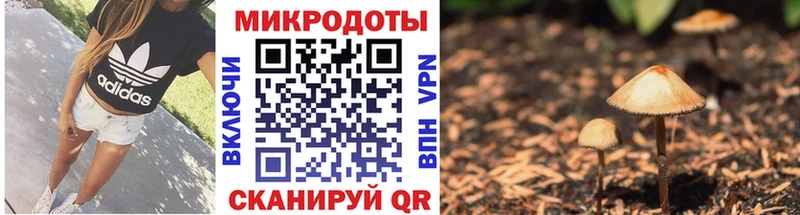 Псилоцибиновые грибы мицелий  Саров 
