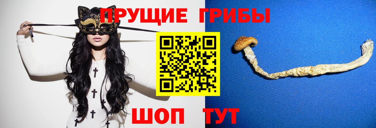 Псилоцибиновые грибы мухоморы Саров